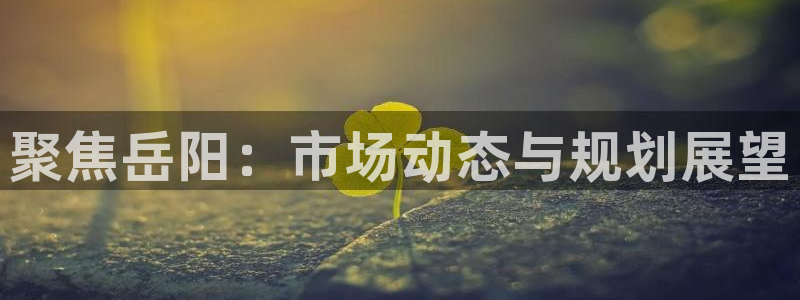 新宝5什么时候上市：聚焦岳阳：市场动态与规划展望