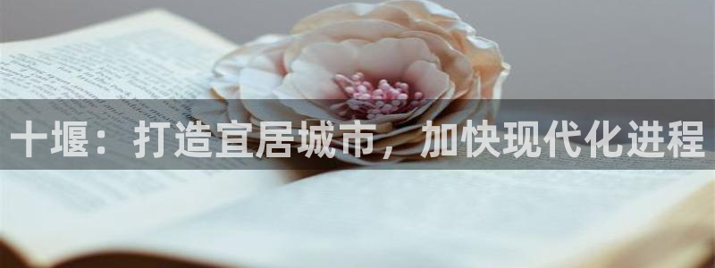 新宝注5册：十堰：打造宜居城市，加快现代化进程