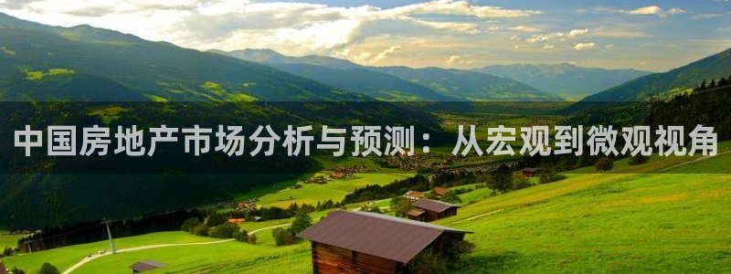新宝5娱乐登陆：中国房地产市场分析与预测：从宏观到微观视角