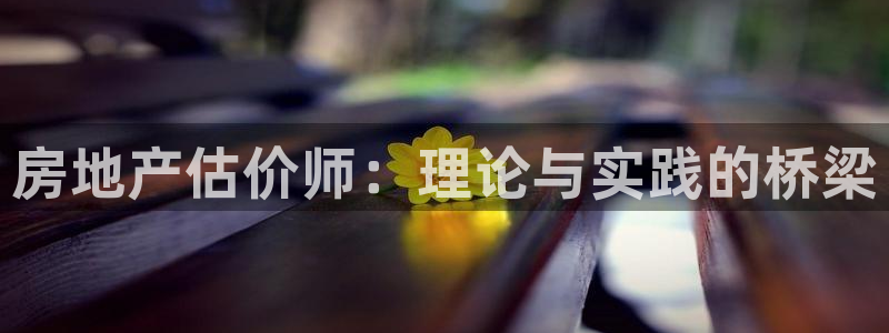 新宝5为啥开：房地产估价师：理论与实践的桥梁