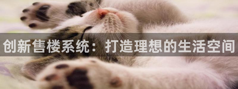 新宝 5测速：创新售楼系统：打造理想的生活空间