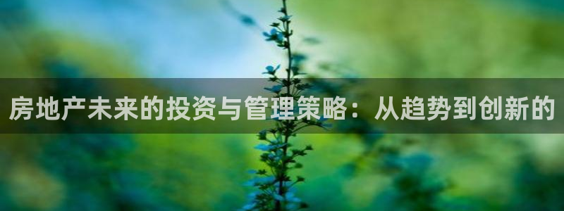 新宝5娱乐没：房地产未来的投资与管理策略：从趋势到创新的