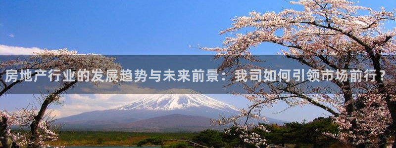 新宝测速5：房地产行业的发展趋势与未来前景：我司如何引领市场