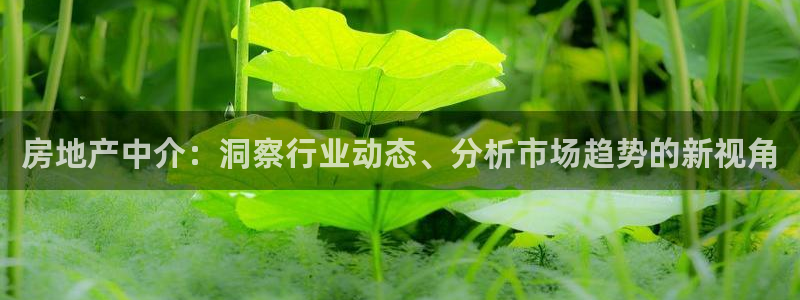 新宝5登录注册：房地产中介：洞察行业动态、分析市场趋势的新视