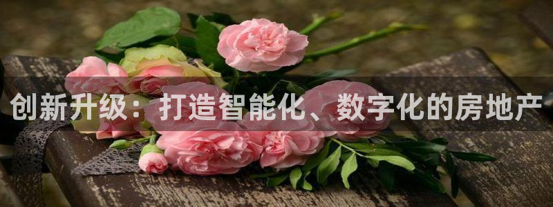 新宝5代理注册：创新升级：打造智能化、数字化的房地产