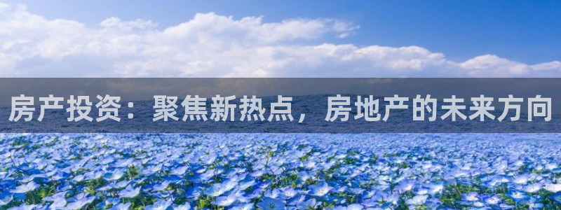 新宝5可靠吗：房产投资：聚焦新热点，房地产的未来方向
