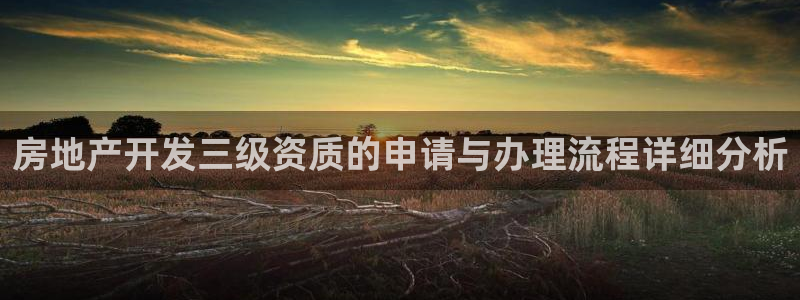 新宝5尤74OOO5：房地产开发三级资质的申请与办理流程详细