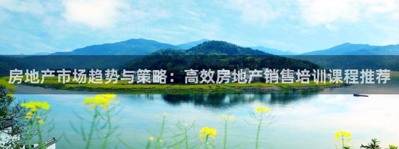 新宝5 注册：房地产市场趋势与策略：高效房地产销售培训课程推