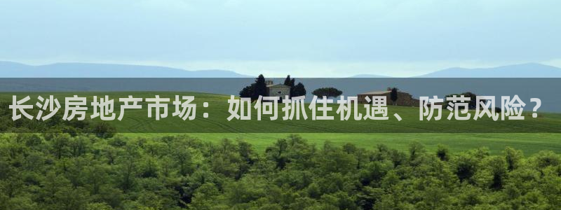 新宝5后：长沙房地产市场：如何抓住机遇、防范风险？