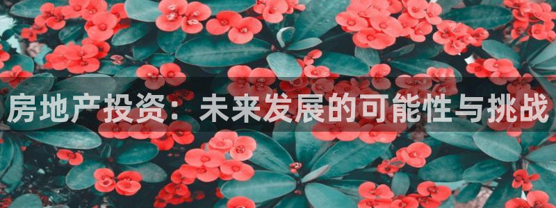 新宝6霸哥5：房地产投资：未来发展的可能性与挑战