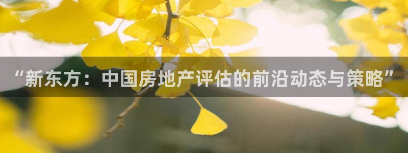 新宝5 - 测速登陆：“新东方：中国房地产评估的前沿动态与策