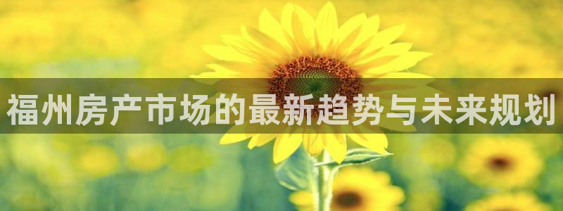 新宝5日740005蔻：福州房产市场的最新趋势与未来规划