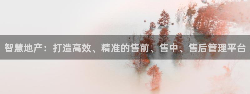 新宝5平台注册：智慧地产：打造高效、精准的售前、售中、售后管