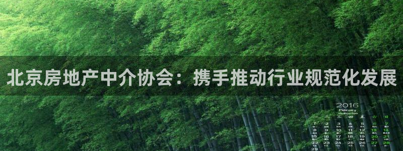 新宝5娱乐都：北京房地产中介协会：携手推动行业规范化发展