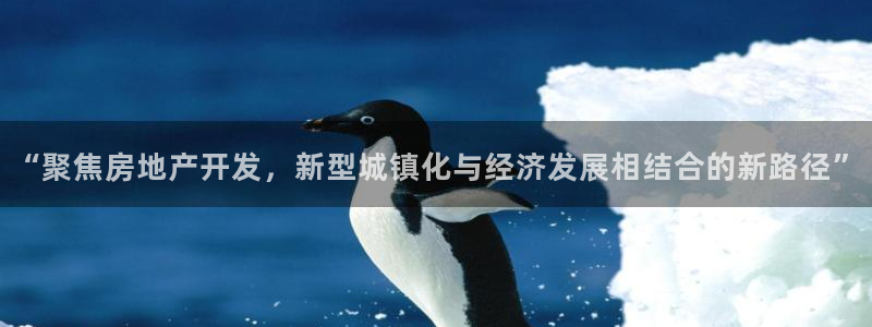 新宝5上70 667：“聚焦房地产开发，新型城镇化与经济发展