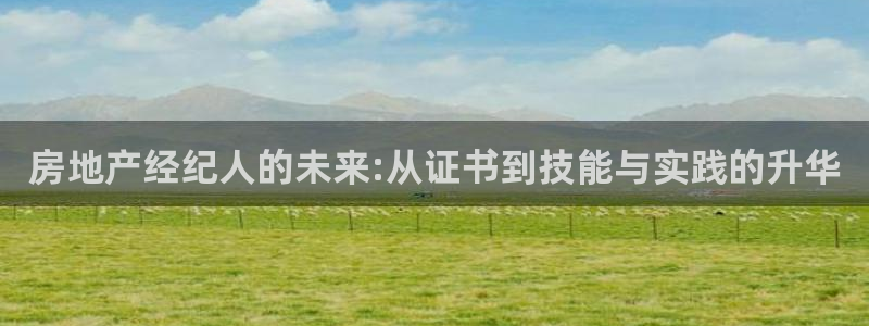 新宝5户端：房地产经纪人的未来:从证书到技能与实践的升华