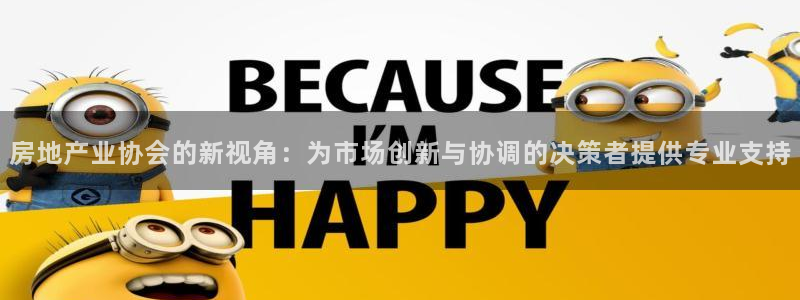 新宝5手机测速：房地产业协会的新视角：为市场创新与协调的决策