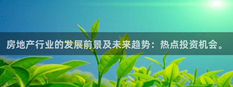 新宝5官网app：房地产行业的发展前景及未来趋势：热点投资机