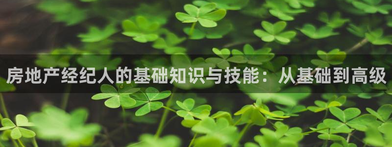 新宝5电脑：房地产经纪人的基础知识与技能：从基础到高级