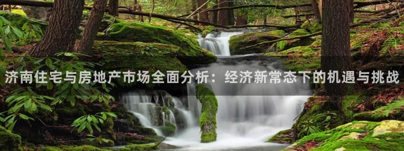 新宝5娱乐同：济南住宅与房地产市场全面分析：经济新常态下的机