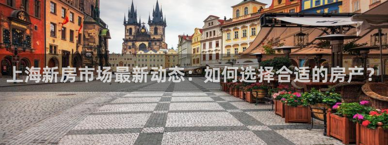 新宝5平台注册公司：上海新房市场最新动态：如何选择合适的房产