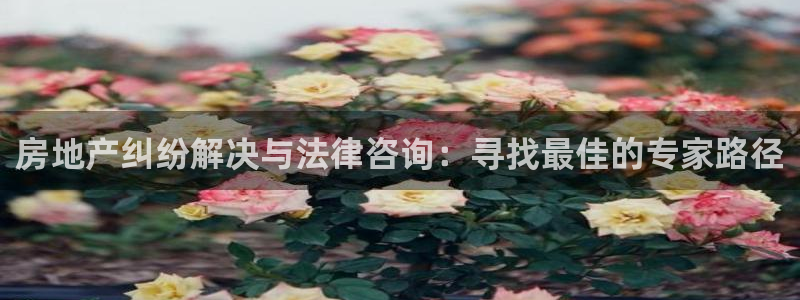 新宝注5册：房地产纠纷解决与法律咨询：寻找最佳的专家路径