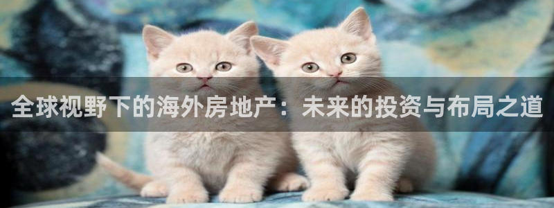 股票5G宝新：全球视野下的海外房地产：未来的投资与布局之道