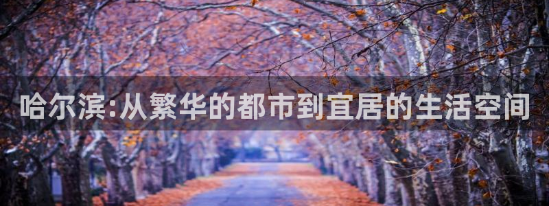 新宝5可靠吗：哈尔滨:从繁华的都市到宜居的生活空间