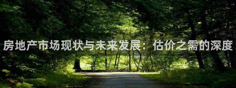 新宝5 唯一：房地产市场现状与未来发展：估价之需的深度