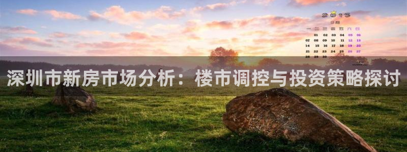 新宝5源码：深圳市新房市场分析：楼市调控与投资策略探讨