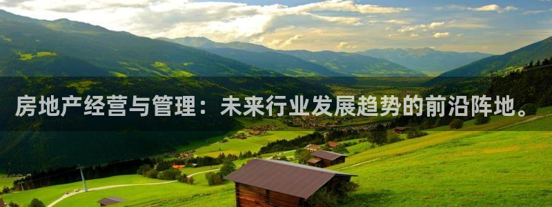 新宝5是什么样子的：房地产经营与管理：未来行业发展趋势的前沿