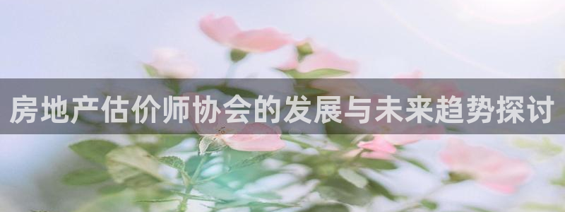 新宝5主管：房地产估价师协会的发展与未来趋势探讨