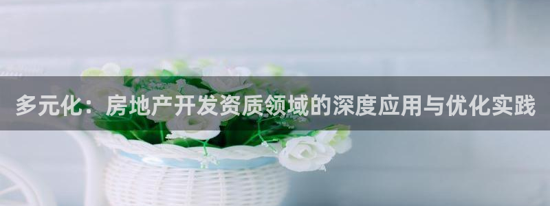 新宝5手机登录：多元化：房地产开发资质领域的深度应用与优化实