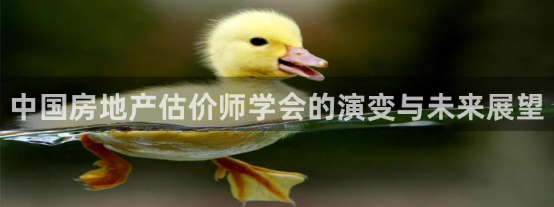 新宝5蒋7O667：中国房地产估价师学会的演变与未来展望