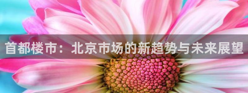 新宝5代理注册：首都楼市：北京市场的新趋势与未来展望