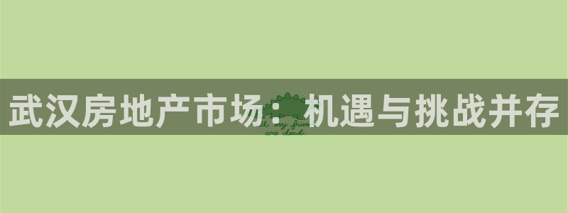 新宝集团新宝5：武汉房地产市场：机遇与挑战并存