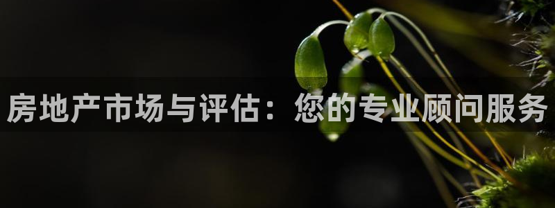 新宝5网址：房地产市场与评估：您的专业顾问服务