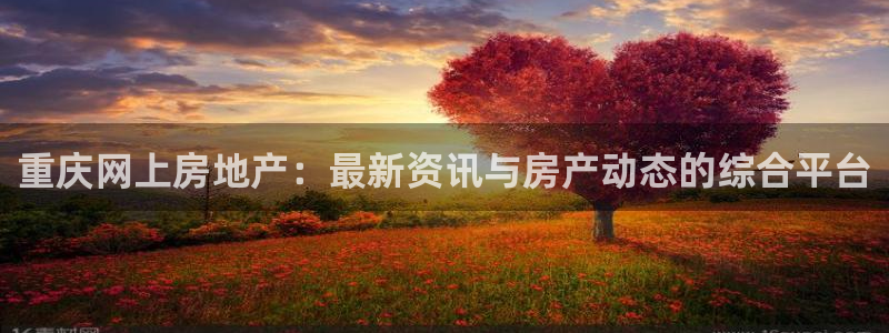 新宝5直属：重庆网上房地产：最新资讯与房产动态的综合平台