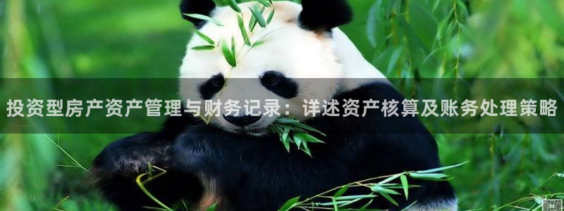 新宝5是什么：投资型房产资产管理与财务记录：详述资产核算及账