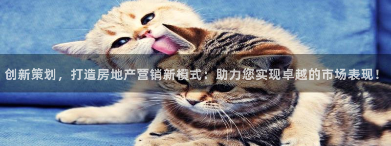 新宝5登录地址：创新策划，打造房地产营销新模式：助力您实现卓