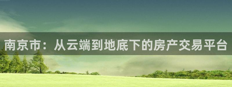 新宝5娱乐都：南京市：从云端到地底下的房产交易平台