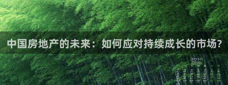 新宝5登录不了：中国房地产的未来：如何应对持续成长的市场?