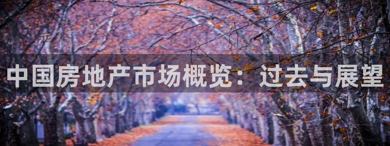 下载新宝5