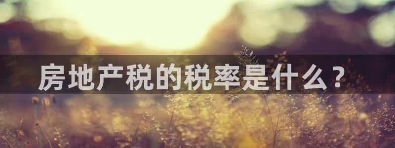 新宝5如何注册登录：房地产税的税率是什么？
