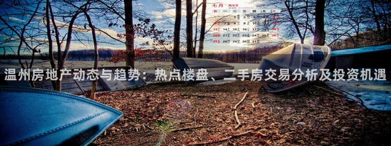 新宝5日：温州房地产动态与趋势：热点楼盘、二手房交易分析及投