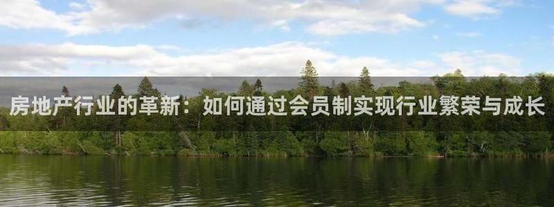 新宝5登录不了：房地产行业的革新：如何通过会员制实现行业繁荣