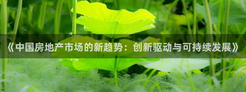 新宝5手机app：《中国房地产市场的新趋势：创新驱动与可持续
