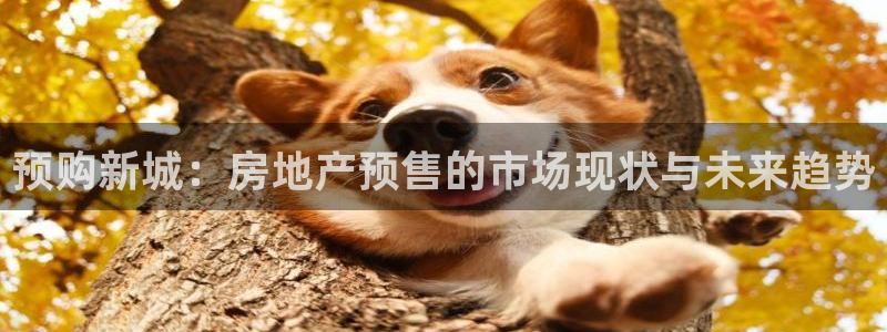 新宝5娱乐多：预购新城：房地产预售的市场现状与未来趋势