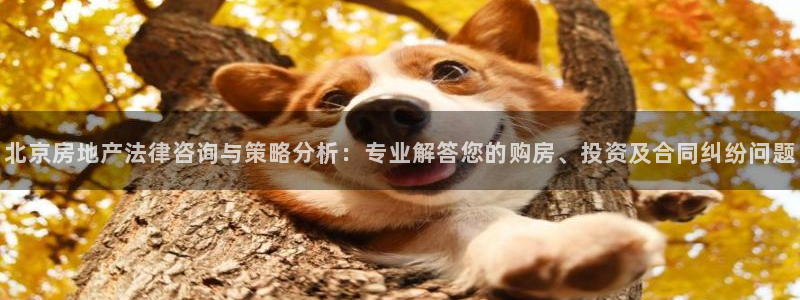 新宝5娱乐登陆：北京房地产法律咨询与策略分析：专业解答您的购
