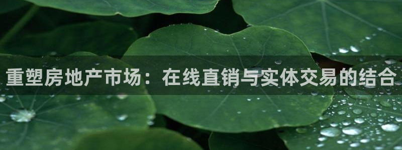 新宝G5：重塑房地产市场：在线直销与实体交易的结合